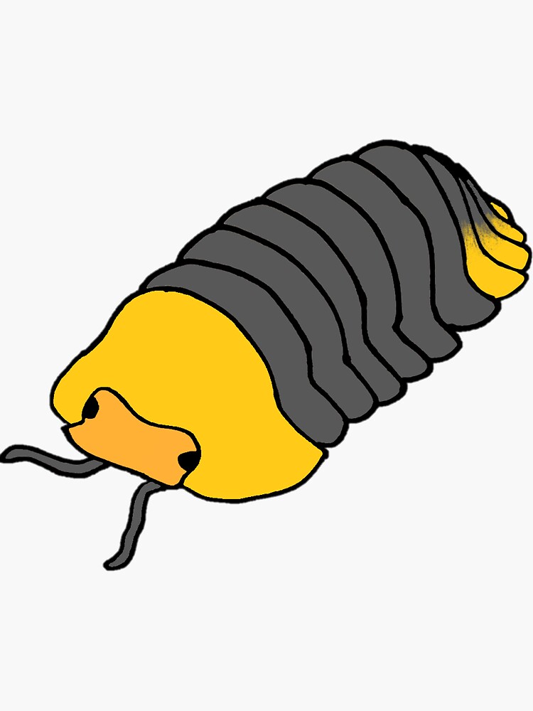 kawaii isopod