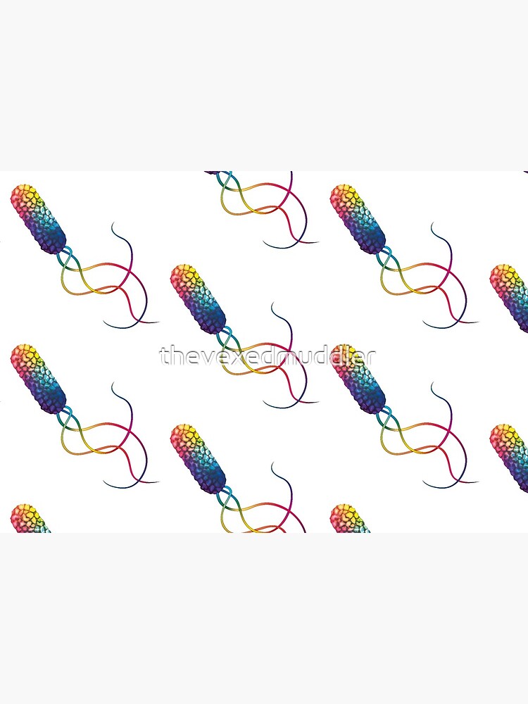 Rainbow bacterium by thevexedmuddler