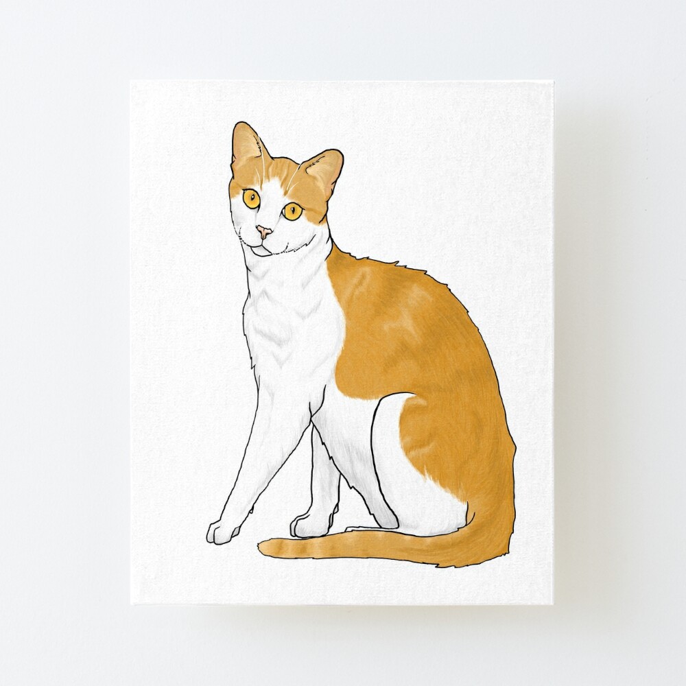 Orange And White Cat Art Board Print For Sale By Tinkerandbone Redbubble