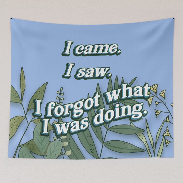Item preview, I came. I saw. I forgot what I was doing. designed and sold by Stephanie "Coco" Landry.