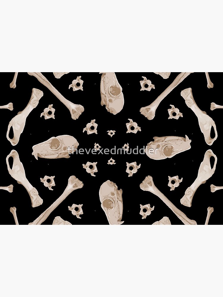 Ruffed Lemur bones by thevexedmuddler