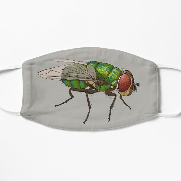 Chrysomya megacephala blowfly Mask