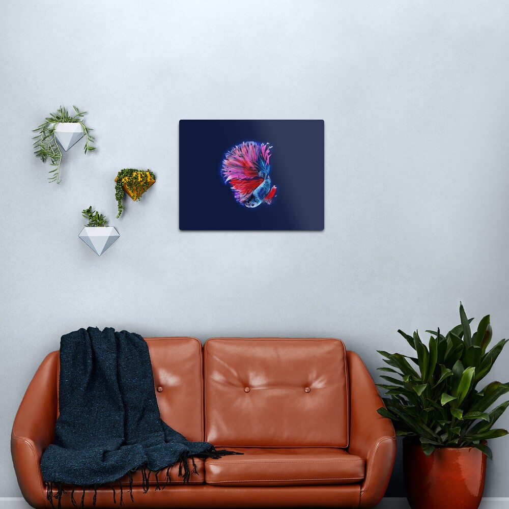 Magical beta fish Metal Print