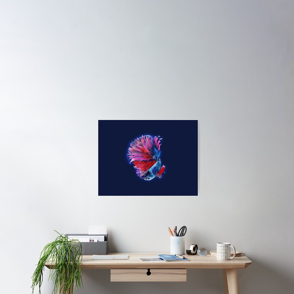 Magical beta fish Poster