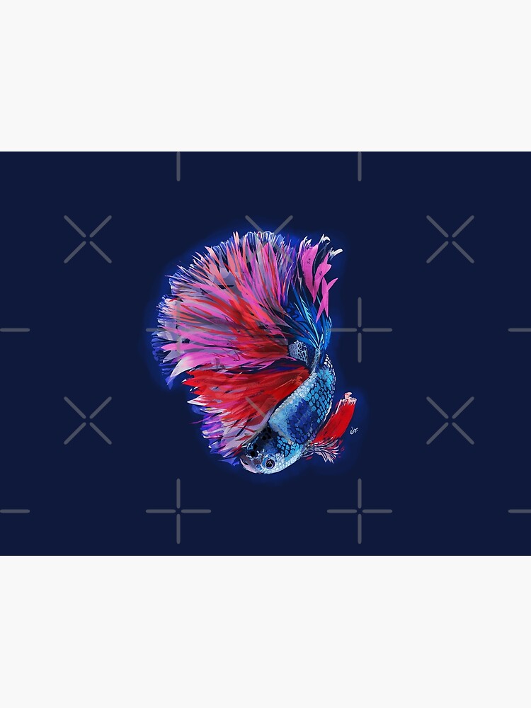 Magical beta fish by ebozzastudio