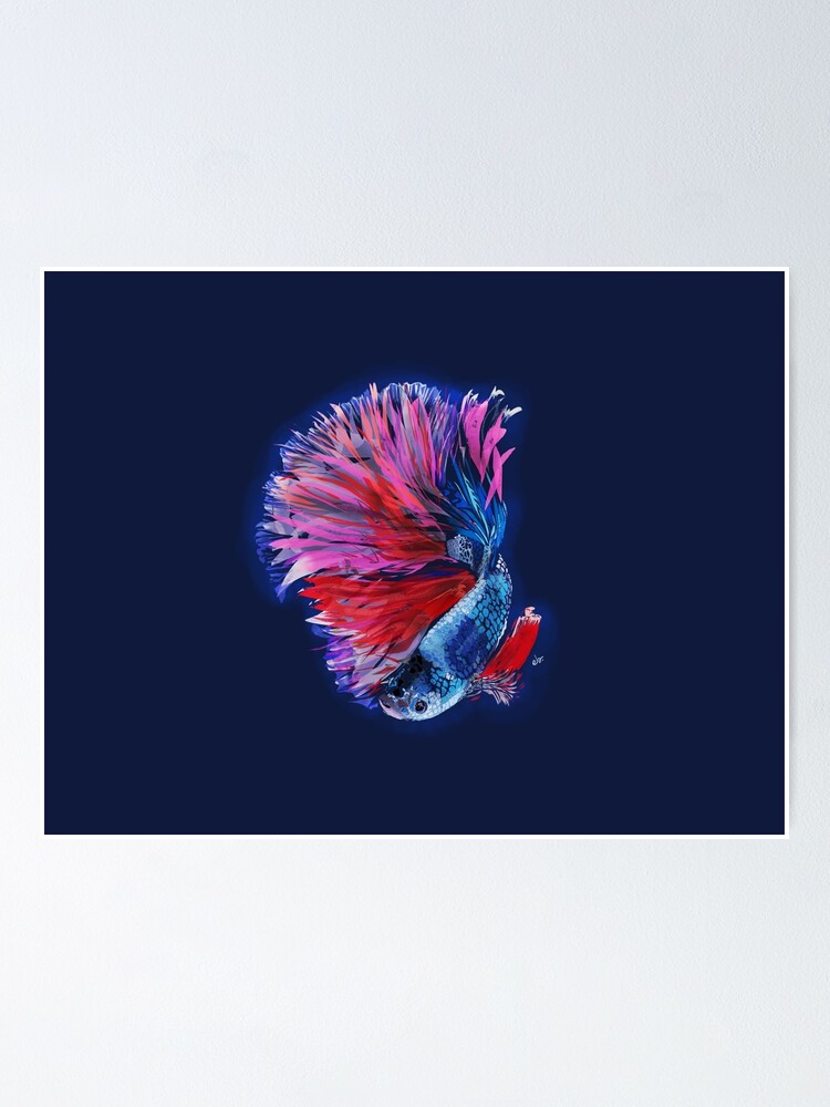 Alternate view of Magical beta fish Poster