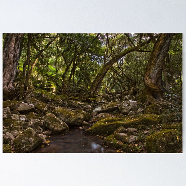 Item preview, Path to the Nargun designed and sold by Rosie Appleton.