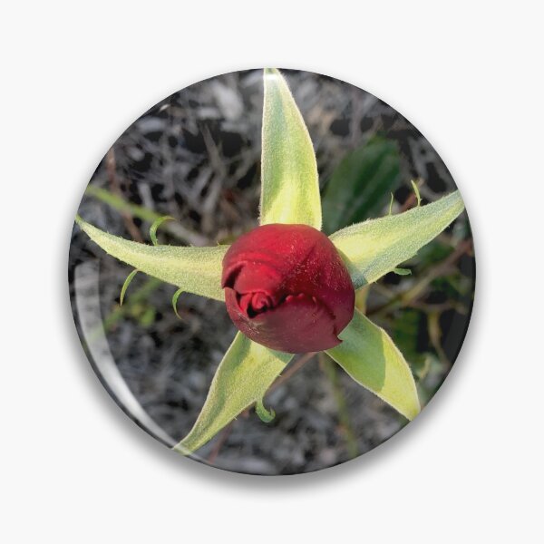 Item preview, Starry Rose designed and sold by KazM.