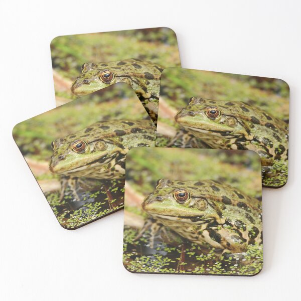 Item preview, Marsh Frog designed and sold by CBoyle.