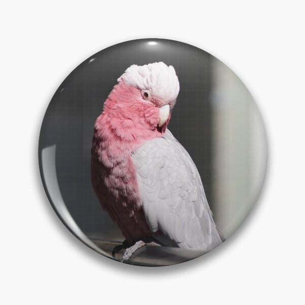Item preview, Pink Galah Portrait designed and sold by Dragonsfield.