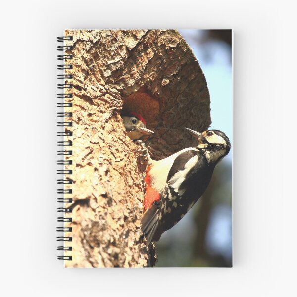Item preview, Great Spotted Woodpecker and Baby designed and sold by CBoyle.