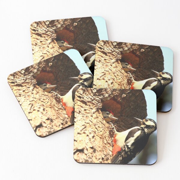 Item preview, Great Spotted Woodpecker and Baby designed and sold by CBoyle.
