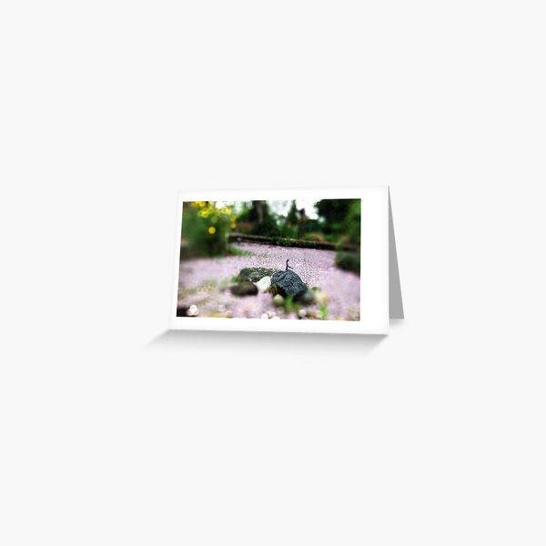 Cherry Blossom Composition Greeting Card