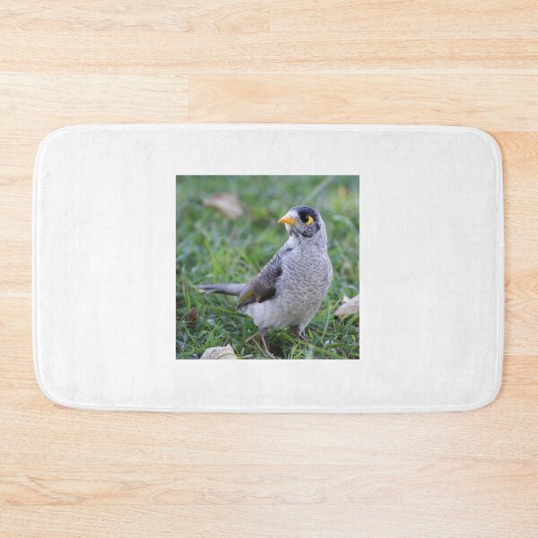 Item preview, Noisy Miner designed and sold by Dragonsfield.
