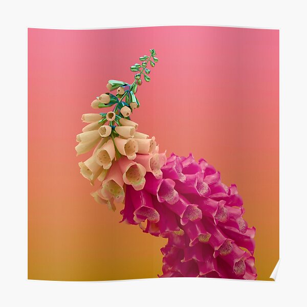 Flume Skin flower fire Poster