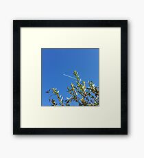 clear sky Framed Print