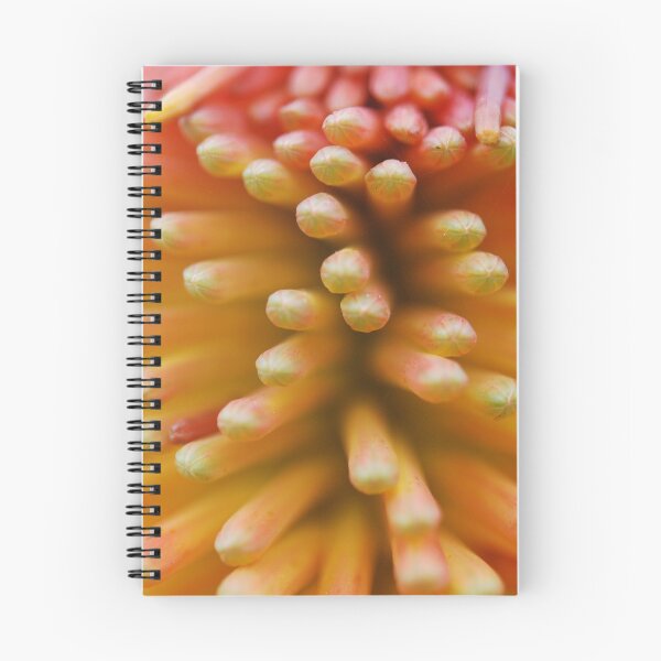 Item preview, Orange designed and sold by Nicole Sumner.