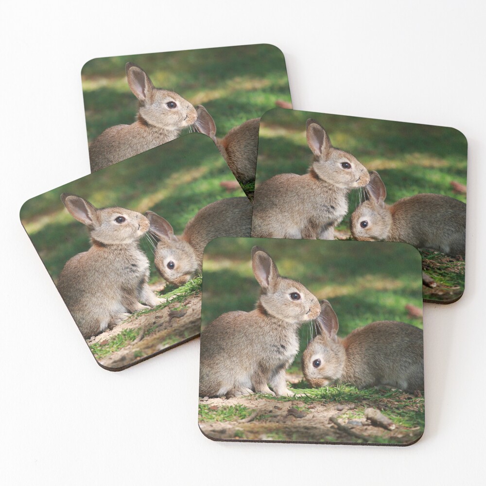 Item preview, Coasters (Set of 4) designed and sold by CBoyle.