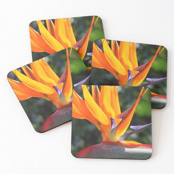 Item preview, Bird of Paradise or Crane Lily designed and sold by Carole-Anne.