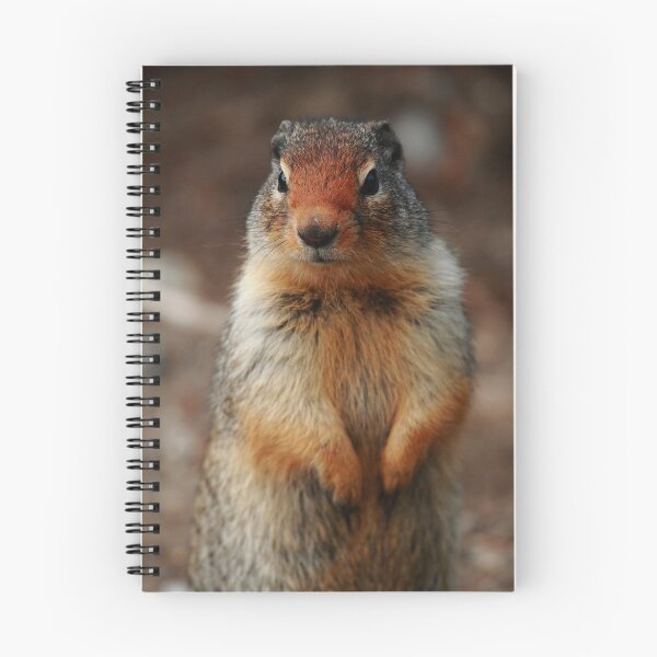 Item preview, Richardson's ground squirrel designed and sold by CBoyle.