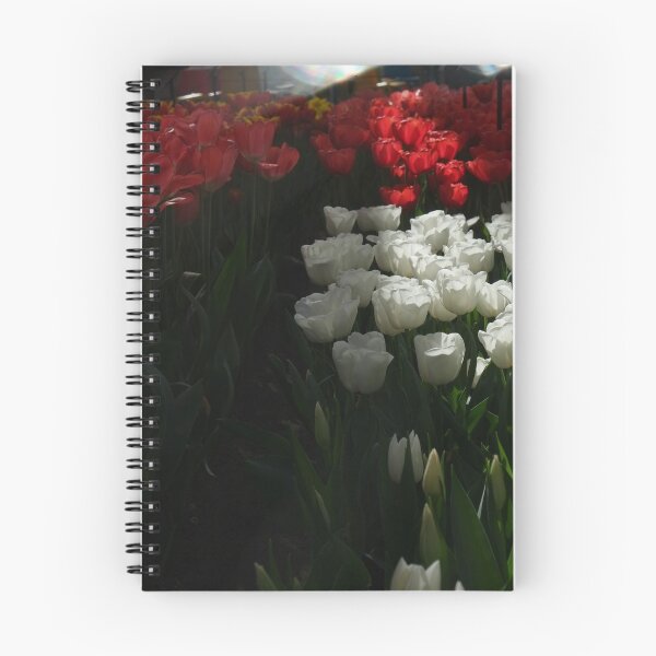 Item preview, Dark Tulips at Keukenhof designed and sold by ObiCyn.