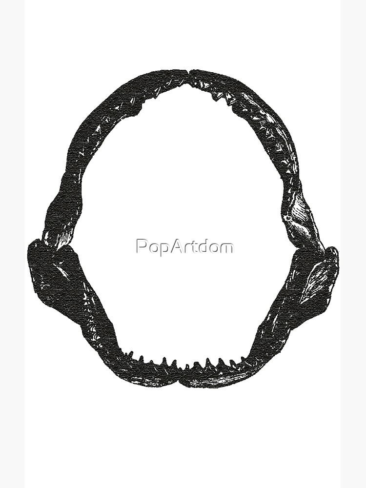 "Vintage Shark Jaws Skeleton" Photographic Print for Sale by PopArtdom