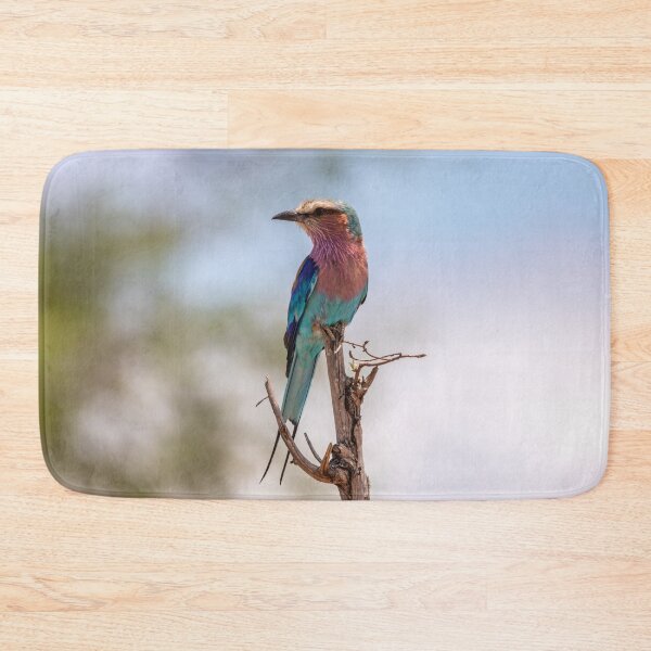 Item preview, Lilac-breasted Roller - Kruger National Park, South Africa designed and sold by holgermader.