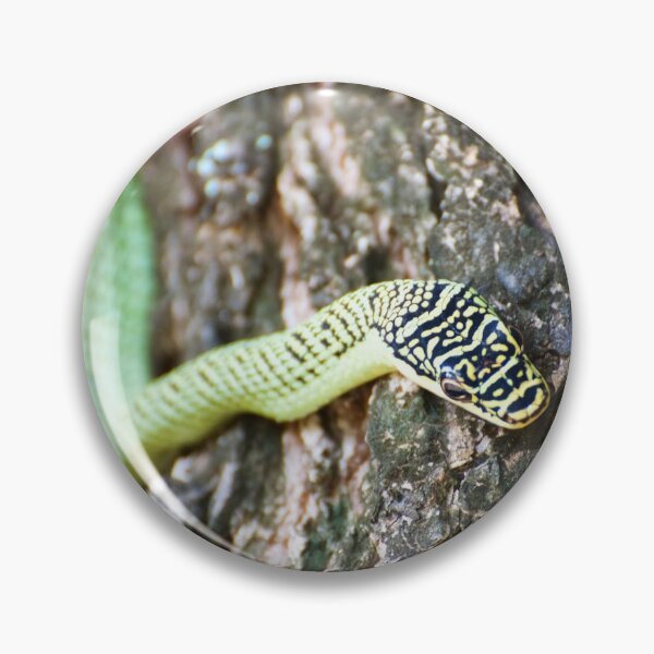 Item preview, Golden Tree Snake designed and sold by tpixx.