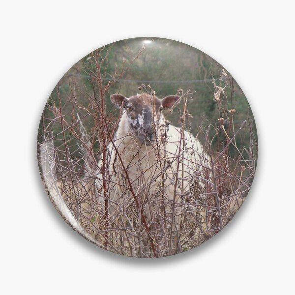 Item preview, Looking Sheepish designed and sold by ColinBoylett.