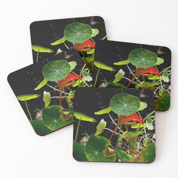 Item preview, Nasturtium in Sunlight and Shade designed and sold by Beachy.