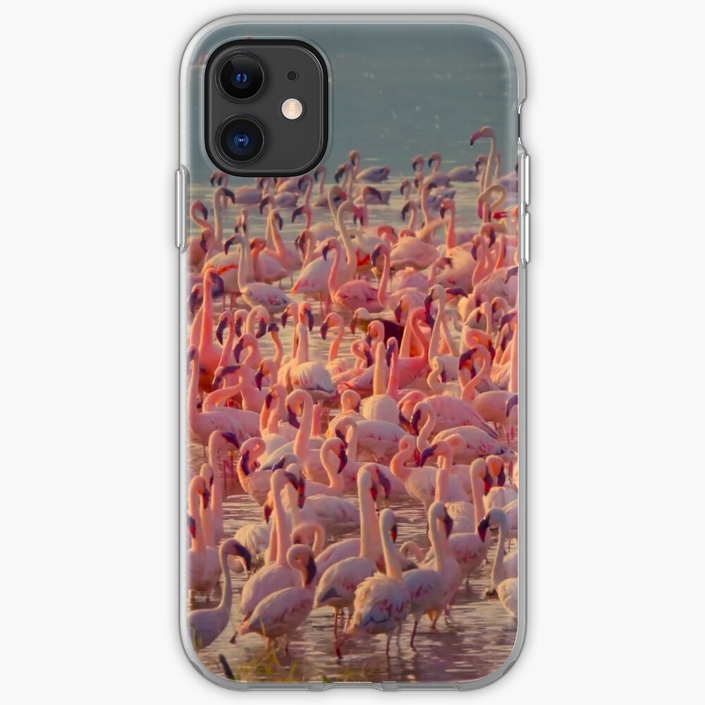 "Flamingos iPhone Case" iPhone Case & Cover by astro4342 ...