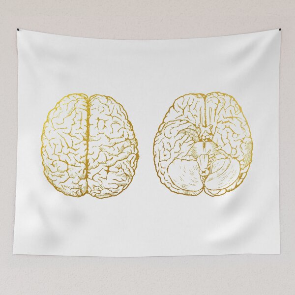 Item preview, Human brain scheme designed and sold by Liededrom..