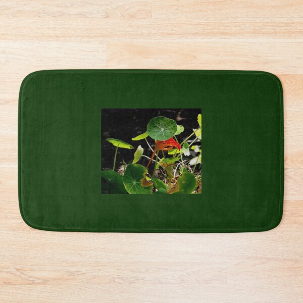 Item preview, Nasturtium in Sunlight and Shade designed and sold by Beachy.