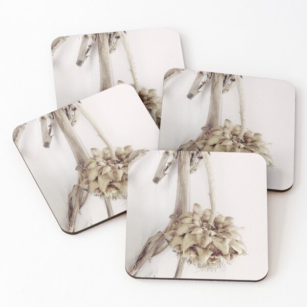 Item preview, Edinburgh designed and sold by Linda Lees.