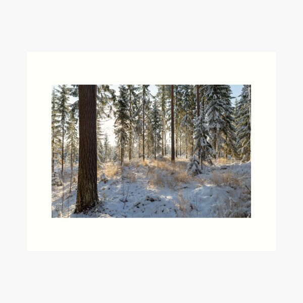 Winter day Art Print