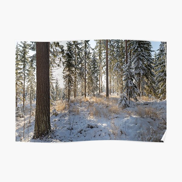 Winter day Poster