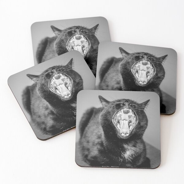 Item preview, Leeroy, the black cat designed and sold by MiyokoKells.