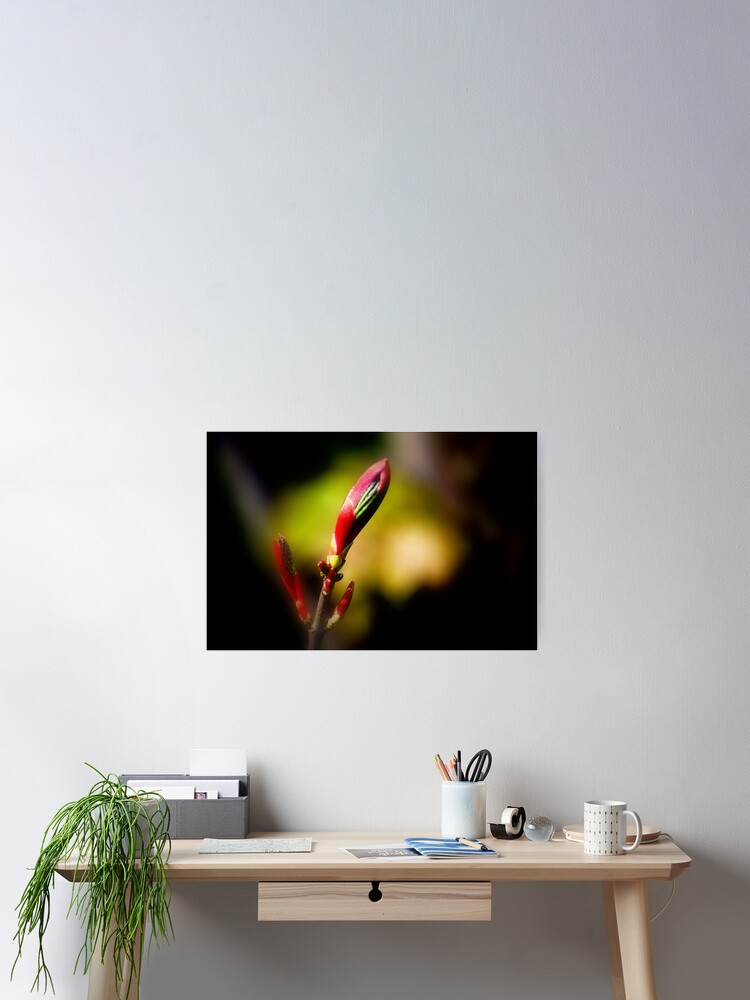 Thumbnail 2 of 3, Poster, Spring Buds designed and sold by stanowen.