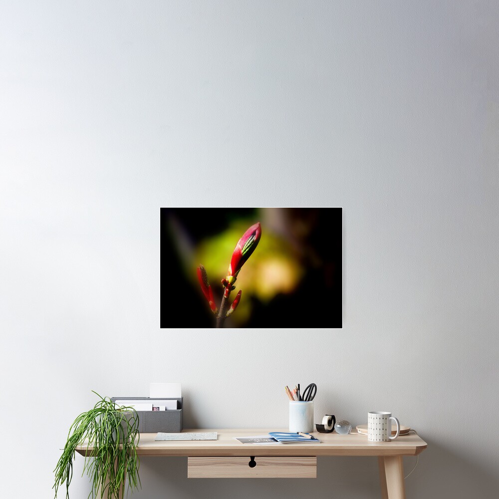 Item preview, Poster designed and sold by stanowen.