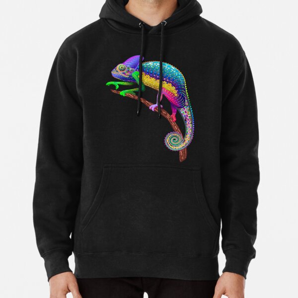 Chameleon Fantasy Rainbow Colors Pullover Hoodie