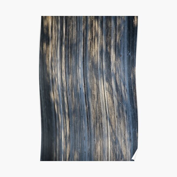 Old, grey wooden wall Poster
