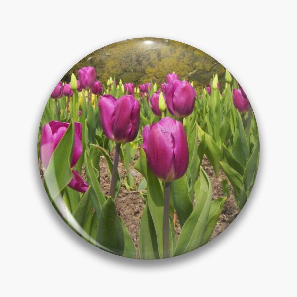 Item preview, Tulip Time designed and sold by ColinBoylett.