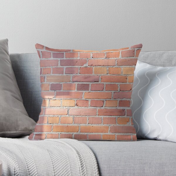 Red tile wall in the sun Throw Pillow