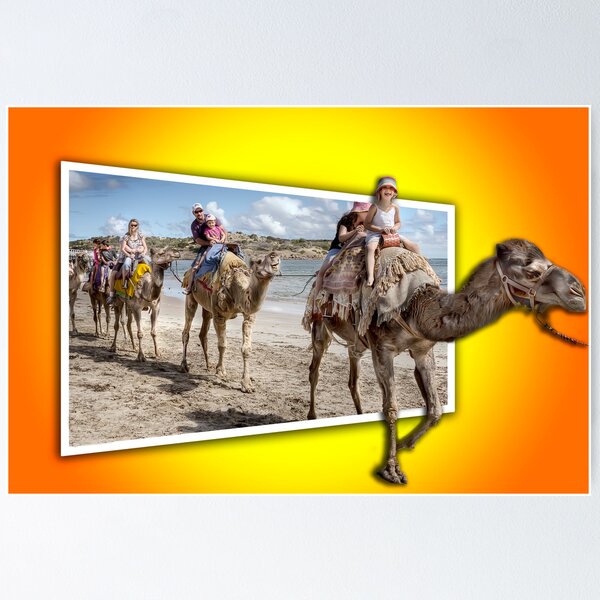 Item preview, Riding Out Of The Picture designed and sold by Shannon Rogers.