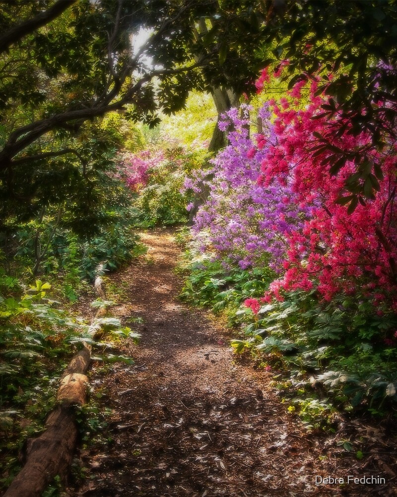 a-walk-down-the-garden-path-by-debra-fedchin-redbubble