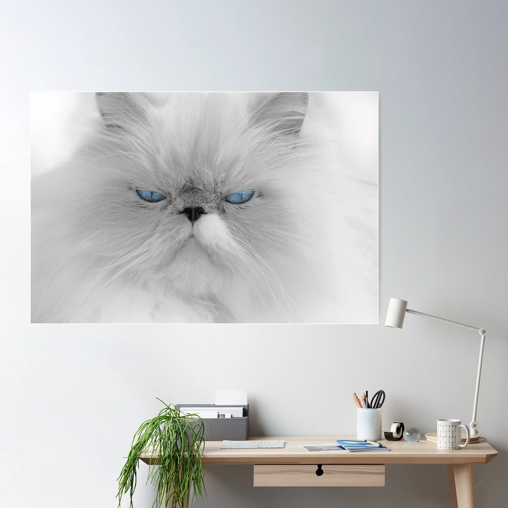 Angry Cat With Blue Background. Framed 16 X 20 Original 