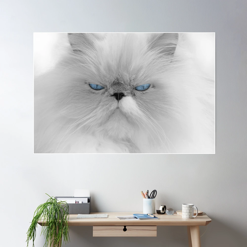 Angry Cat With Blue Background. Framed 16 X 20 Original 