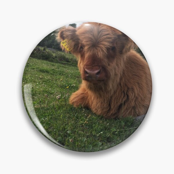 Item preview, Scottish Highland Cattle Calf 1798 designed and sold by SaarelaHighland.