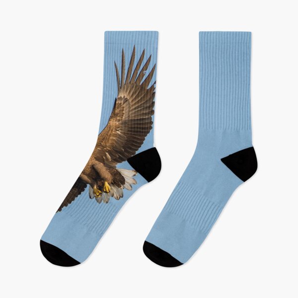 Item preview, White-Tailed Eagle from below designed and sold by Dominika Aniola.
