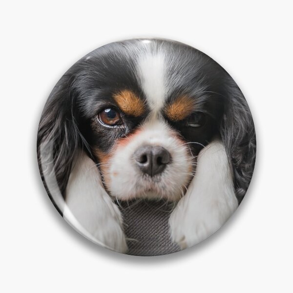 Item preview, King Charles Spaniel designed and sold by WhenMondayComes.